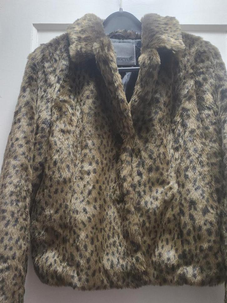 Goosecraft Winterjas - Dames, Kleding | Dames, Jassen | Zomer, Zo goed als nieuw, Maat 34 (XS) of kleiner, Bruin, Ophalen of Verzenden