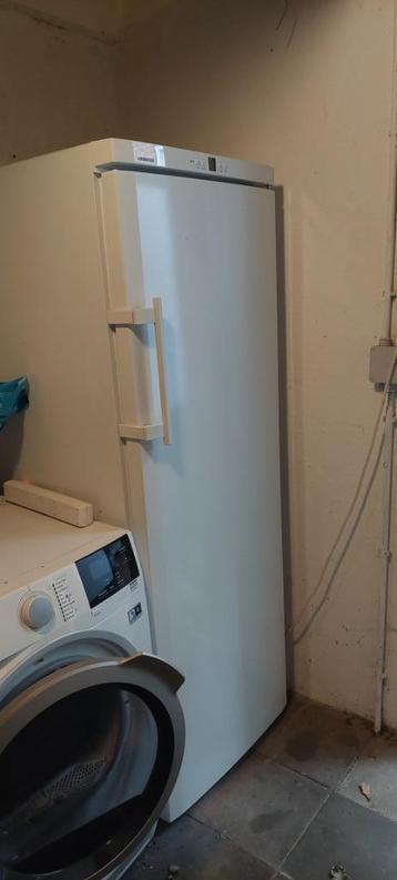 Vriezer Liebherr GP2733  224 liter  beschikbaar voor biedingen