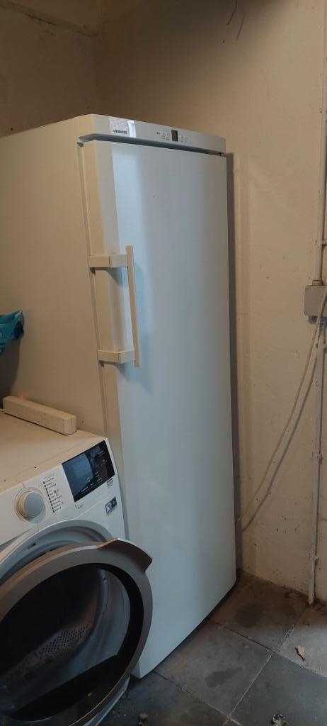 Vriezer Liebherr GP2733  224 liter, Witgoed en Apparatuur, Vriezers en Diepvrieskisten, Gebruikt, Vrijstaand, Vrieskast, 160 cm of meer