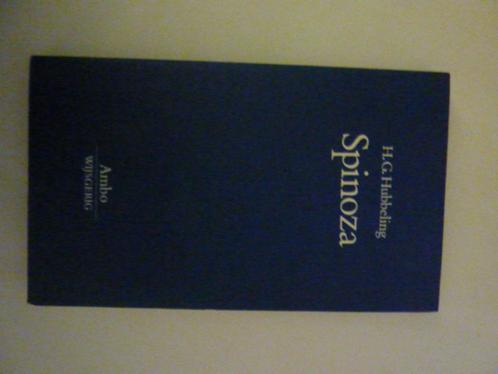 H.G.Hubbeling - Spinoza, Boeken, Godsdienst en Theologie, Zo goed als nieuw, Ophalen of Verzenden