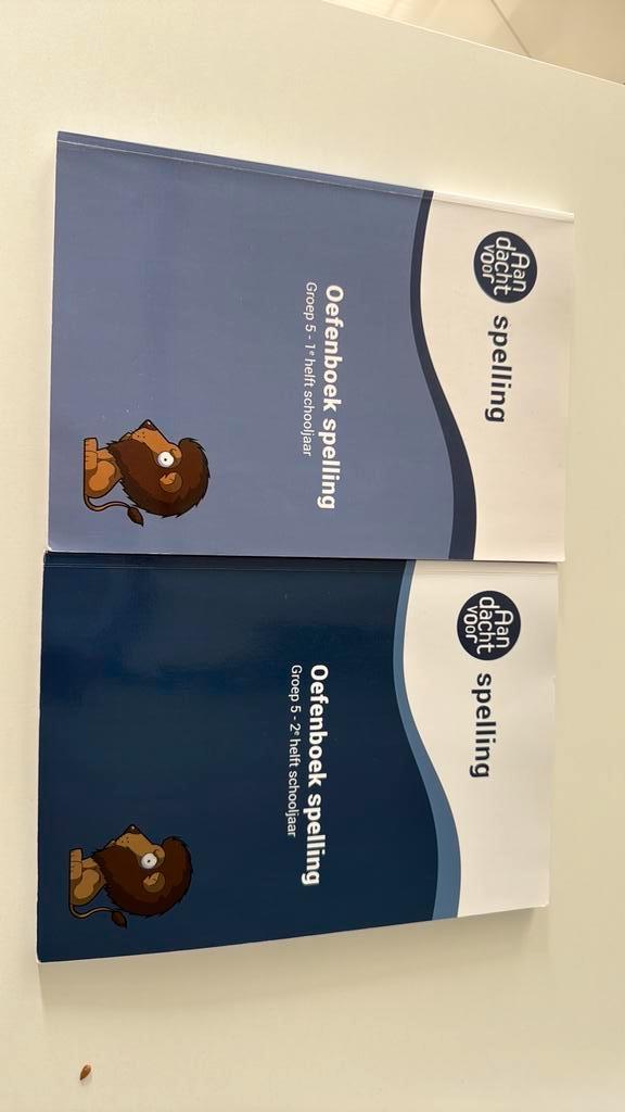 Spelling groep 5 Oefenboek - 1e en 2e helft schooljaar samen, Boeken, Schoolboeken, Zo goed als nieuw, Nederlands, Overige niveaus