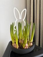 Paas schaaltje met konijn - decoratief, Kunststof, Rond, Binnen, Ophalen of Verzenden