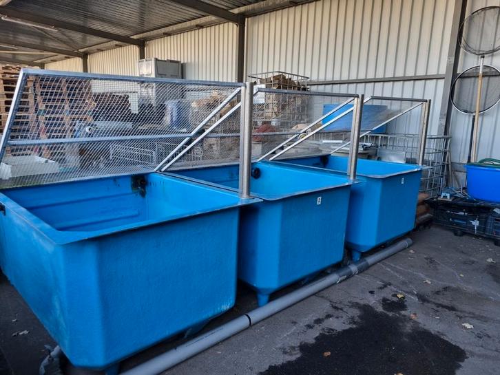 3 x polyester  Qurantenebak opgroeibak koi /vis, Dieren en Toebehoren, Vissen | Vijvervissen, Karper of Koi