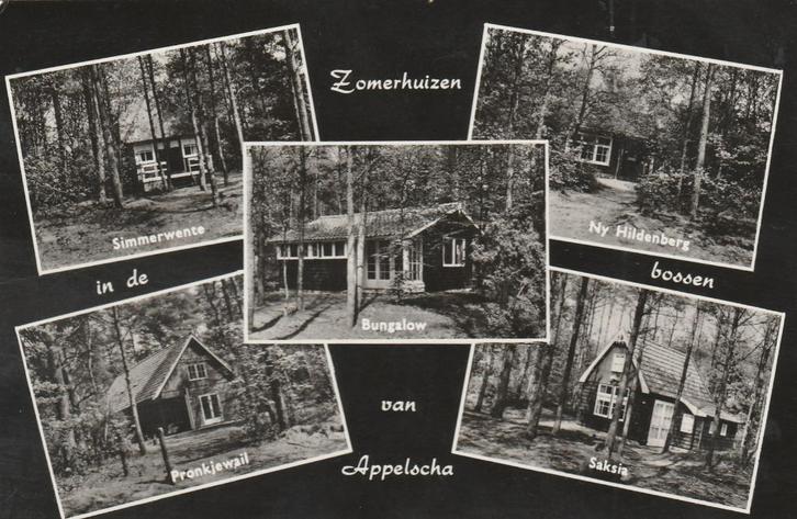 APPELSCHA Zomerhuizen, Verzamelen, Ansichtkaarten | Nederland, Gelopen, Friesland, 1960 tot 1980, Verzenden