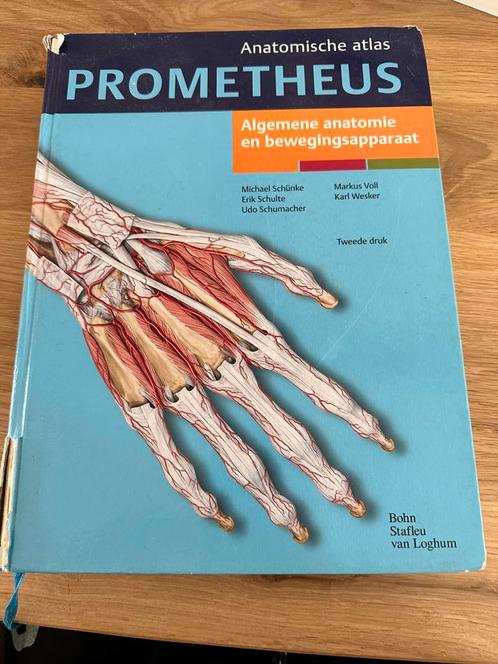 Michael Schunke - Algemene anatomie en bewegingsapparaat, Boeken, Wetenschap, Zo goed als nieuw, Ophalen of Verzenden