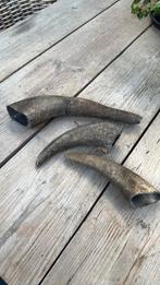 Hoorns, Ophalen of Verzenden, Nieuw