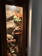 Terrarium, Ophalen, Gebruikt