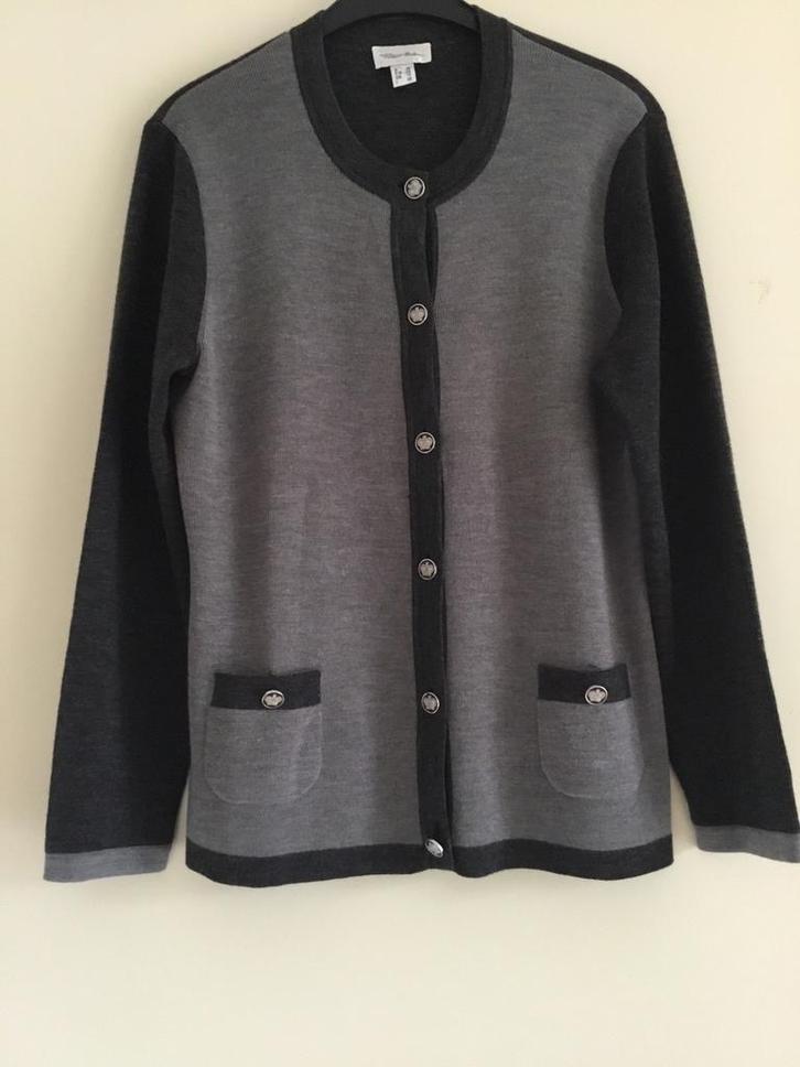 Mooi Merino Wollen vest Peter Hahn maat 42, Kleding | Dames, Truien en Vesten, Zo goed als nieuw, Maat 42/44 (L), Grijs, Ophalen of Verzenden