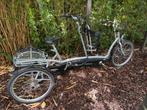Driewieltandem Electrisch Van Raam Twinny Plus, Fietsen en Brommers, Fietsen | Driewielfietsen, Ophalen of Verzenden, Zo goed als nieuw