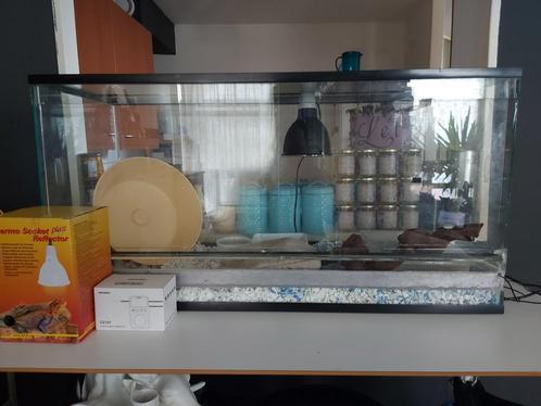 Terrarium met thermostaat, Dieren en Toebehoren, Reptielen en Amfibieën | Toebehoren, Gebruikt, Terrarium of Paludarium, Ophalen