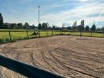 Stalling en weidegang kleine privestal Oosterblokker / Hoorn, Stalling