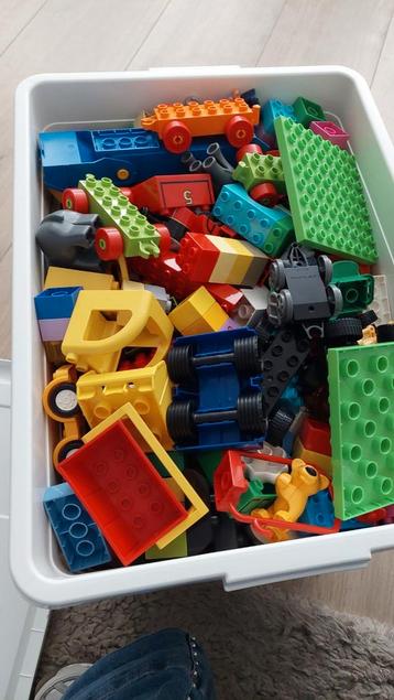 Duplo grote hoeveelheid beschikbaar voor biedingen