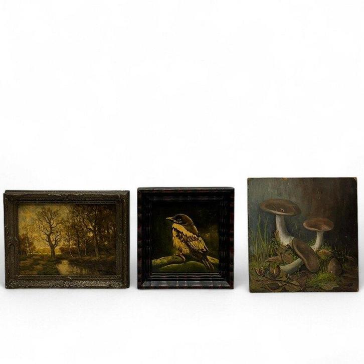 Hollandse School 20e eeuw (3x), Antiek en Kunst, Kunst | Schilderijen | Klassiek, Ophalen of Verzenden