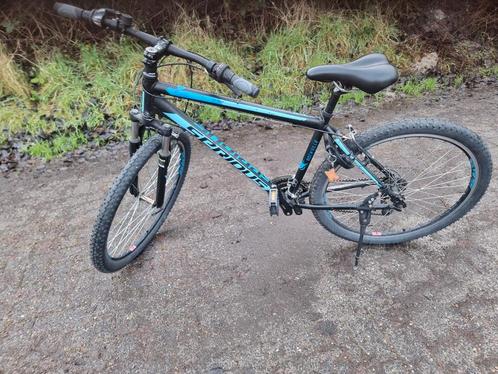 Serious cycles best sale