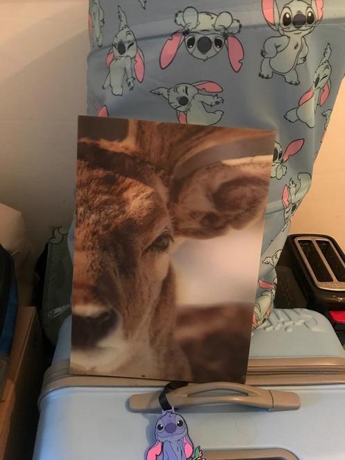 3D schilderij hert, Huis en Inrichting, Woonaccessoires | Schilderijen, Tekeningen en Foto's, Gebruikt, Schilderij, Minder dan 50 cm