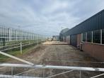 inloopstal met paddock / pensionstalling, Dieren en Toebehoren, Stalling en Weidegang, Weidegang, 1 paard of pony