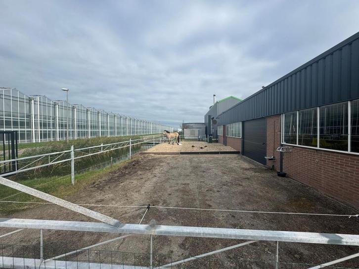 inloopstal met paddock / pensionstalling, Dieren en Toebehoren, Stalling en Weidegang, Stalling, Weidegang, 1 paard of pony