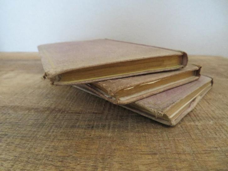 Antieke boeken,Christelijke volks almanak, Antiek en Kunst, Antiek | Boeken en Bijbels, Ophalen of Verzenden