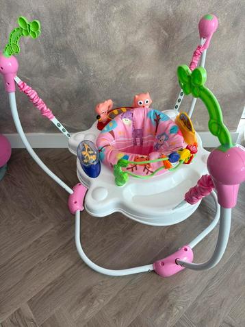 Activity jumper/ bouncer beschikbaar voor biedingen