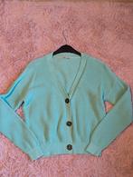 Vest terstal Europe kids zgan 158 164, Ophalen of Verzenden, Zo goed als nieuw, Meisje, Trui of Vest