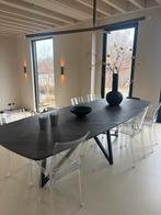 6 Kartell Philippe Starck Eetkamerstoelen, Huis en Inrichting, Stoelen, Ophalen of Verzenden, Gebruikt, Kunststof, Vier