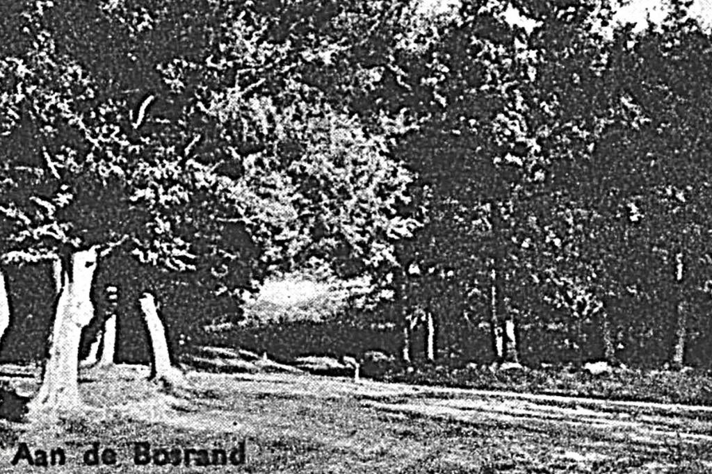 987378 Elspeet 1950 Gelopen met postzegel, Verzenden, 1940 tot 1960, Gelopen, Gelderland