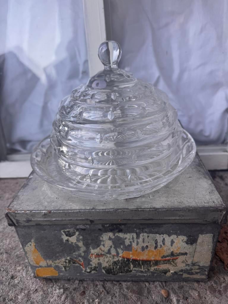 Glazen stolp, Ophalen of Verzenden, Zo goed als nieuw