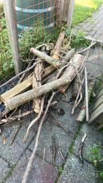 Brand hout, Tuin en Terras, Haardhout, Minder dan 3 m³, Ophalen of Verzenden, Eikenhout, Stammen