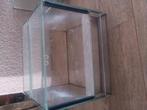 Spinnen terrarium, Ophalen, Gebruikt, ., .