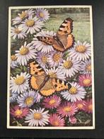 Vlinder Kleine Vos  illustratie J Voerman oude kaart 1959, Verzenden, 1940 tot 1960, Ongelopen, Natuur