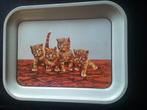 Vintage,  dienblad, Ophalen of Verzenden, Gebruikt, Rechthoekig, Metaal