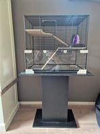 Hamsterkooi met standaard, Dieren en Toebehoren, Knaagdieren en Konijnen | Hokken en Kooien, Ophalen, Gebruikt, Kooi, Hamster