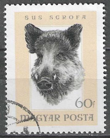 Hongarije 1966 - Yvert 1844 - Jachttrofeeen (ST) beschikbaar voor biedingen