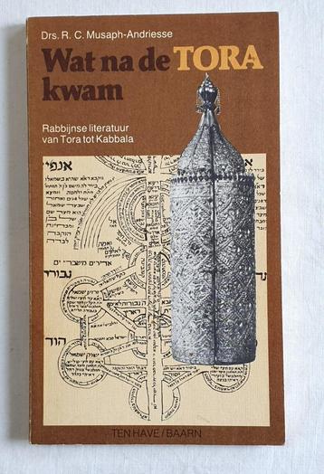 Wat na de Tora kwam; een overzicht van rabbijnse literatuur beschikbaar voor biedingen