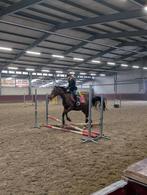 Verzorgster aangeboden!, Ophalen of Verzenden, Nieuw