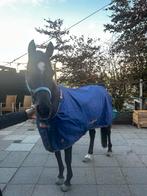 Bucas therapy turnout light 130/5.9, Dieren en Toebehoren, Paarden en Pony's | Dekens en Dekjes, Ophalen of Verzenden, Zo goed als nieuw