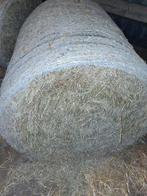 Ronde balen hooi te koop, Dieren en Toebehoren, Ophalen, Vee