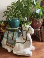 Vintage plantentafel kameel / dromedaris, Ophalen, ., Zo goed als nieuw, .