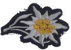 duitse ww2 gebirgs jager xx pet  insignia, Verzamelen, Militaria | Tweede Wereldoorlog, Ophalen of Verzenden, Landmacht, Duitsland