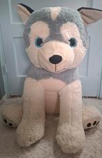 Grote knuffel, Ophalen, Zo goed als nieuw, Hond