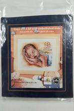 Compleet borduurpakket, Hobby en Vrije tijd, Borduren en Borduurmachines, Ophalen of Verzenden, Nieuw, Handborduren, Borduurpakket