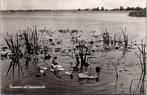 Loosdrecht - Loosdrechtse Plassen (1961), Verzenden, 1960 tot 1980, Gelopen, Noord-Holland