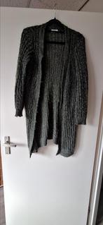 Gebreid vest van Jaqueline de yong, Ophalen of Verzenden, Zo goed als nieuw, Maat 38/40 (M), Groen