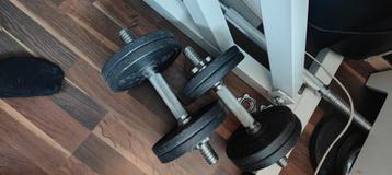 Decathlon beschikbaar voor biedingen
