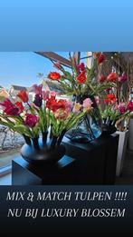 PAPEGAAI TULPEN NIEUWE ,3.99 PSTK, Ophalen of Verzenden, Overige soorten, Volle zon