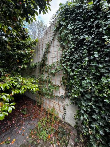 GRATIS betongaas 3.5m x 1m  beschikbaar voor biedingen