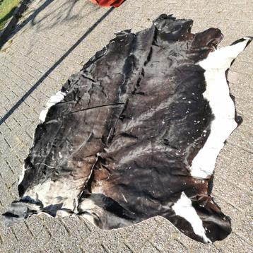 Groot Koeienhuid met Brandmerk vloerkleed echte huid kleed  beschikbaar voor biedingen