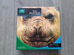 Bbc earth seal / zeehond puzzel (1000 stukjes), Hobby en Vrije tijd, Denksport en Puzzels, Ophalen of Verzenden, 500 t/m 1500 stukjes