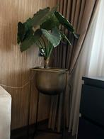 Goud bronze pilaar pot incl nepplant, Ophalen of Verzenden, Zo goed als nieuw