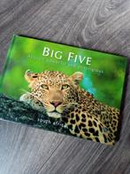 Leuk boekje big five, Wild dier, Overige typen, Ophalen of Verzenden, Zo goed als nieuw